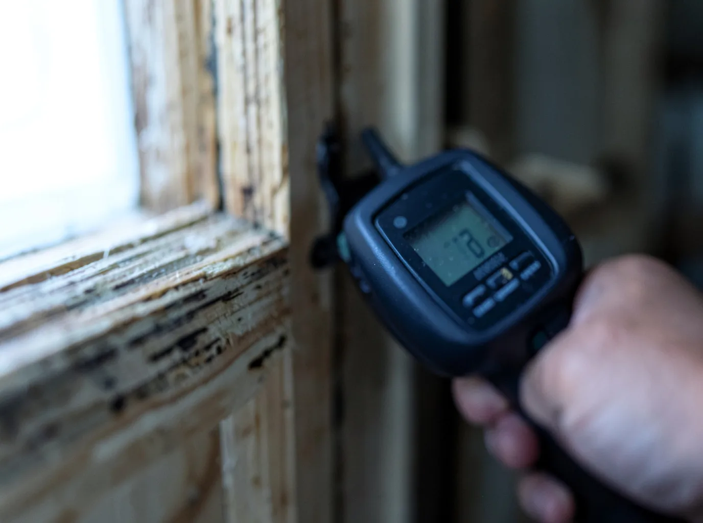 Moisture Inspection And Documentation in Lytle, TX